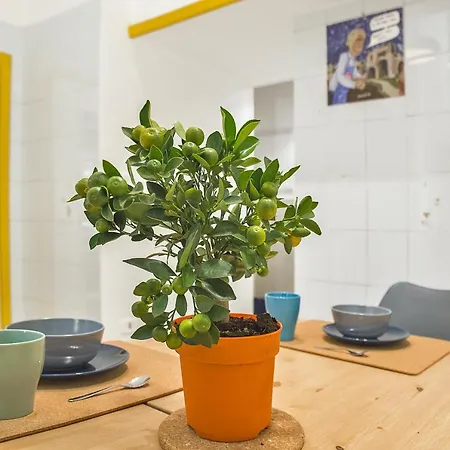 26 Urban Bed and breakfast 3*