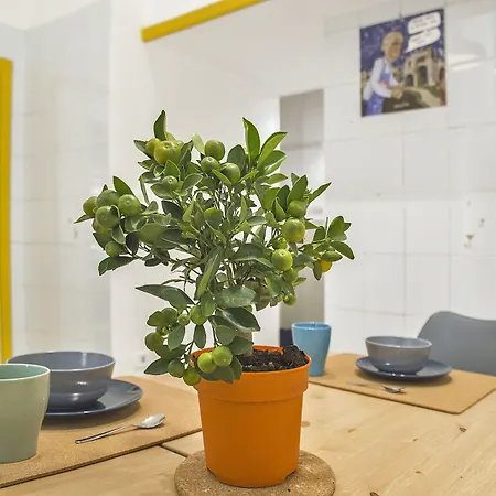Alojamento de Acomodação e Pequeno-almoço 26 Urban