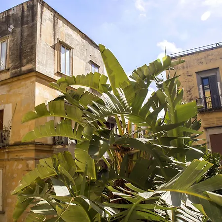 26 Urban Napoli